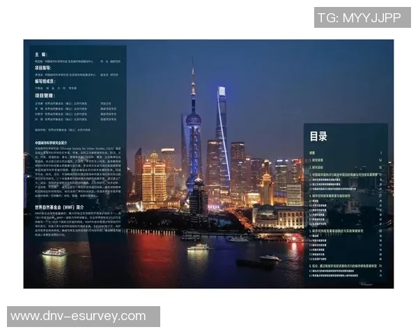重庆网球队的控制策略与发展现状深度解析