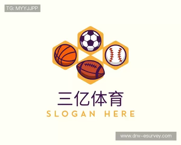 介绍三亿体育